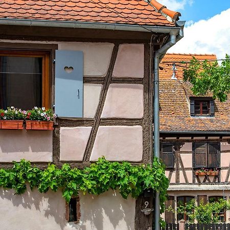 Le Nid De Birsa, 3 Etoiles, Hebergement De Tres Bon Confort Boersch Екстериор снимка