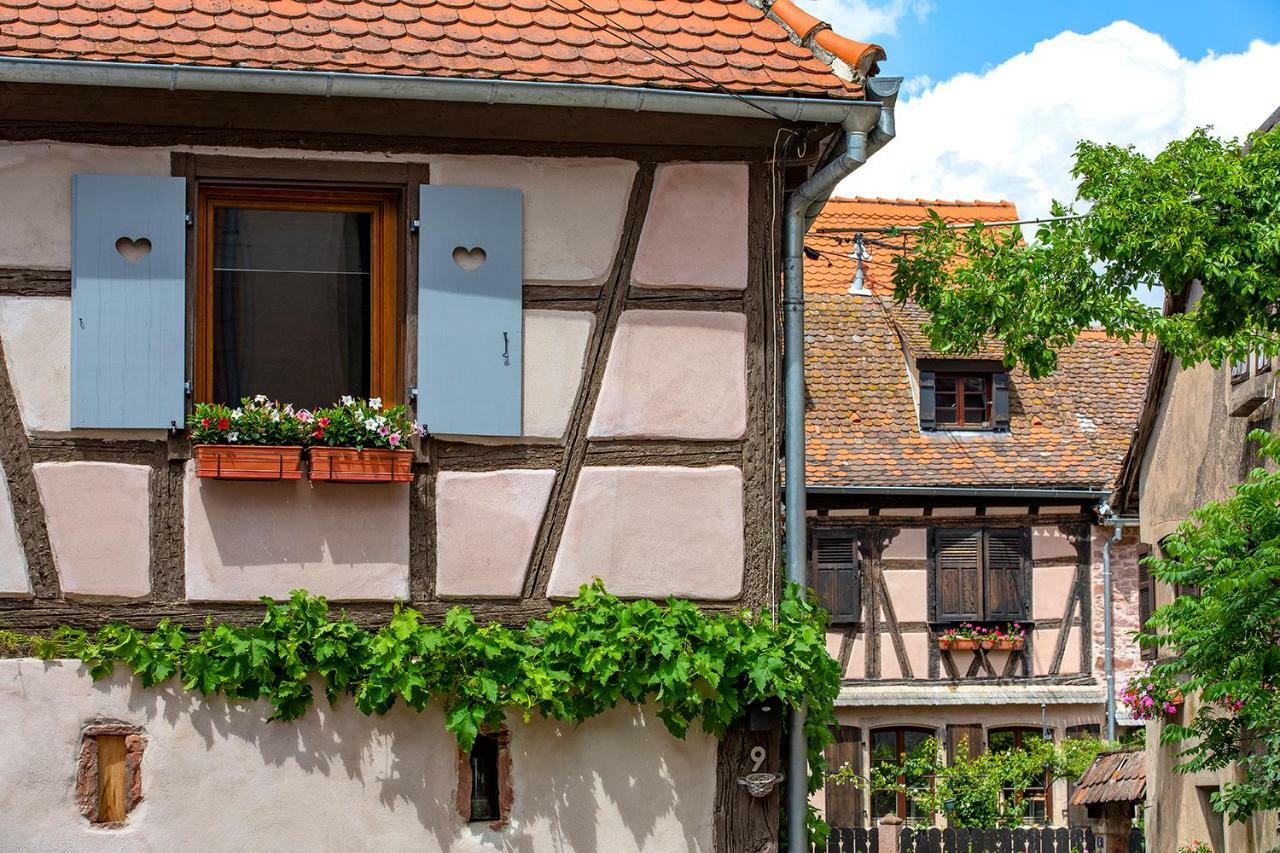Le Nid De Birsa, 3 Etoiles, Hebergement De Tres Bon Confort Boersch Екстериор снимка